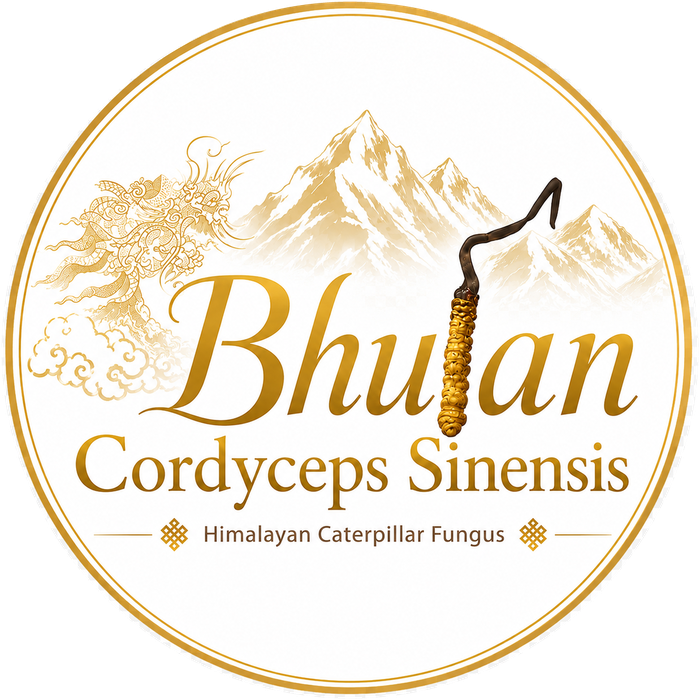 Bhutan Cordyceps Sinensis - Himalayan Caterpillar Fungus