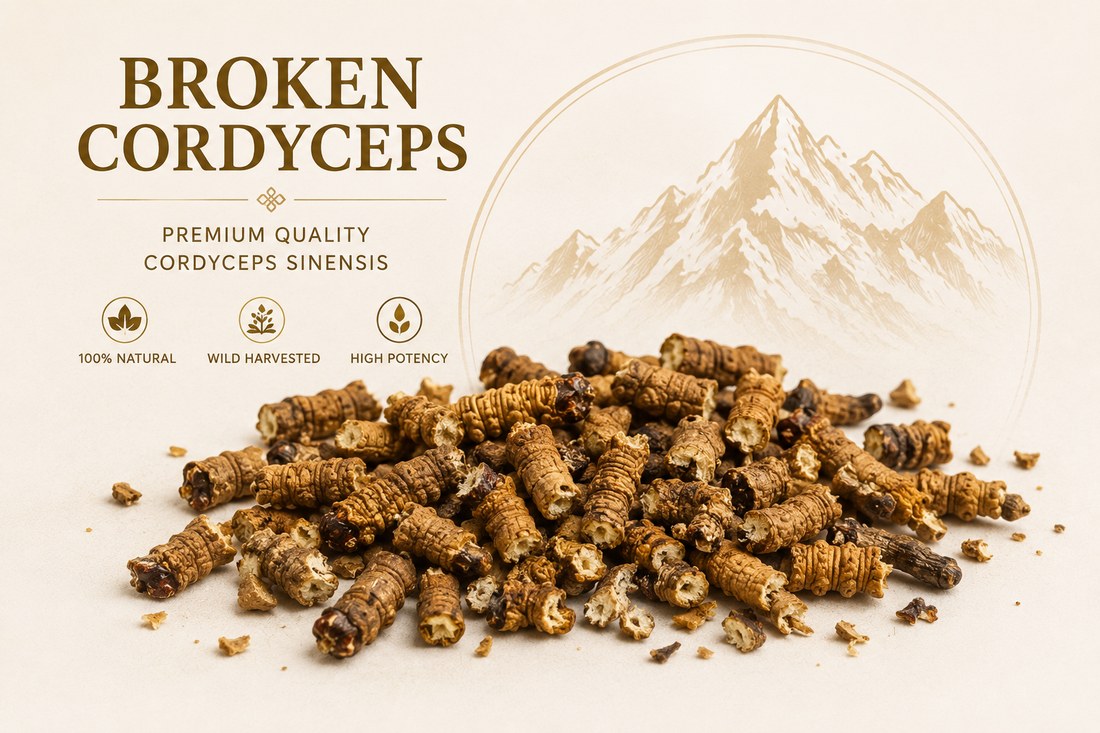 Broken Bhutan Cordyceps pieces